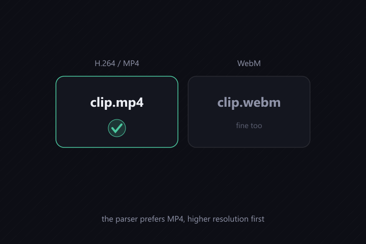 The parser prefers an H.264 MP4 file in the highest resolution available, with WebM as the fallback format