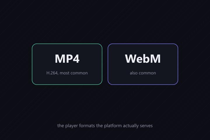Most platforms serve H.264 MP4 video, and often also WebM