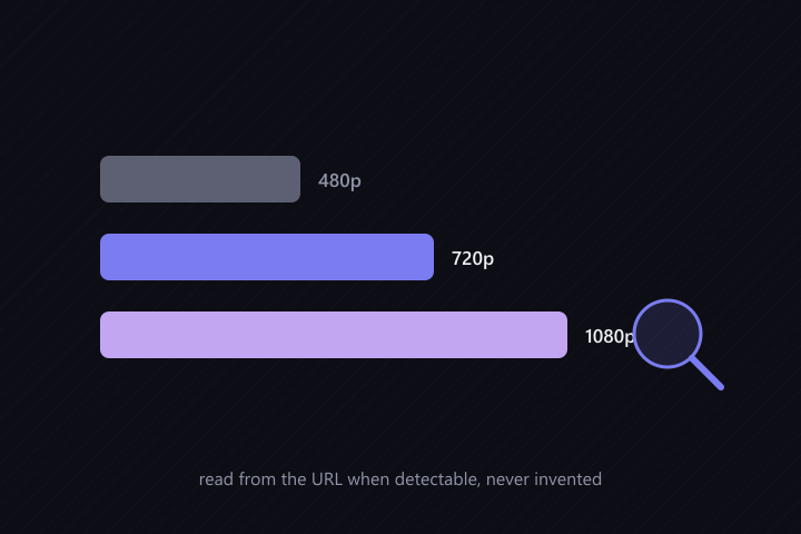 Quality labels for 480p, 720p and 1080p are read from the URL when detectable and never invented